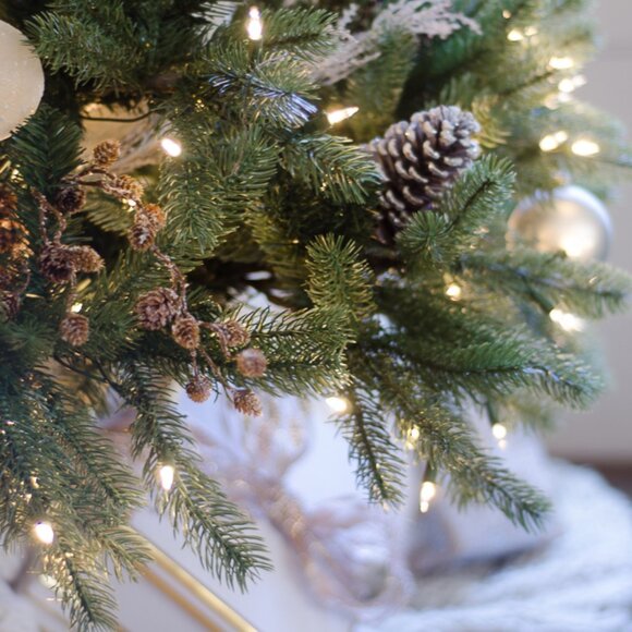 Welcome To My Closet... - Picture 1 of 1